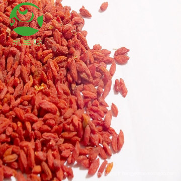 Lycium Goji chinois Goji naturel bio Baies de goji en gros